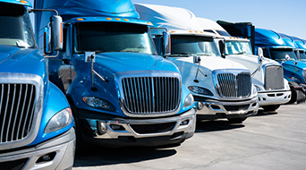 A row of large, shiny semi-trucks parked side by side on a sunny day. The trucks are mostly blue and white, with prominent chrome grills. The clear sky reflects on the polished surfaces.