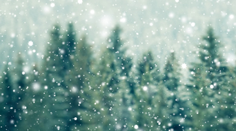 Snow falls gently in front of a blurred background of evergreen trees, creating a serene and wintry scene reminiscent of holiday shipping ads. The indistinct trees lend a soft and peaceful atmosphere to this timeless vision.